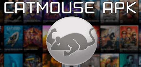 Catmouse-apk-download-apk