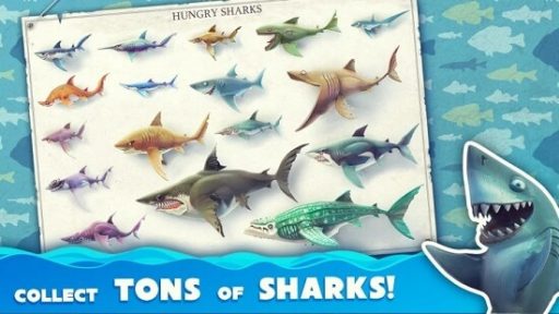 hungry shark world apk mod latest